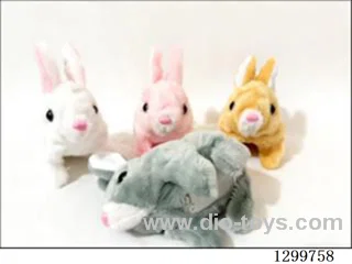 Short-haired Rabbit