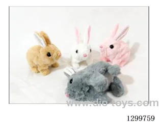 Long-haired Rabbit
