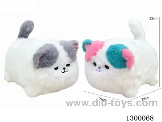 B/O cat