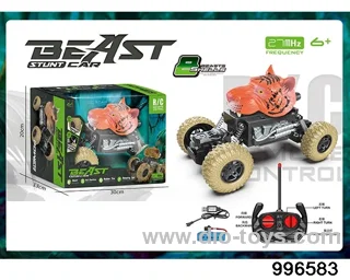 Animal climbing car in window box