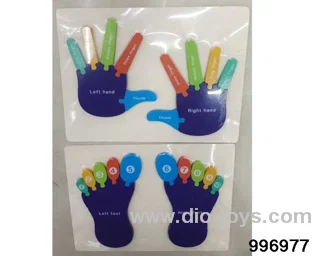 Hand foot 3D puzzle