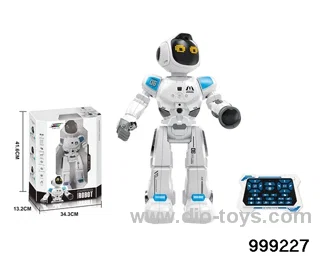 Educational programming robot in window box