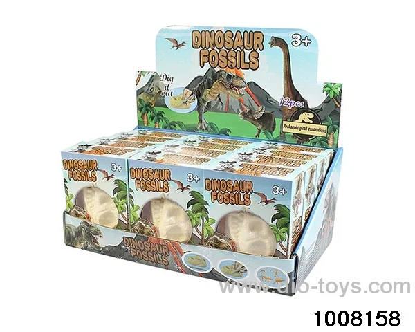 Boxed archaeological dinosaur head 12pcs in display box