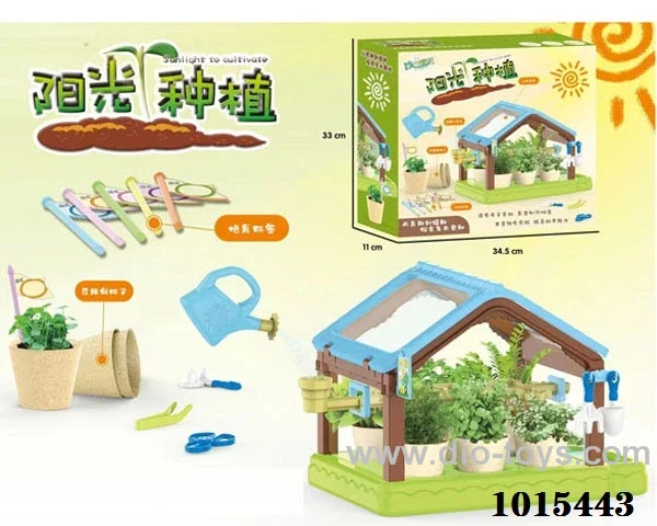 Sun planting hut in Color box