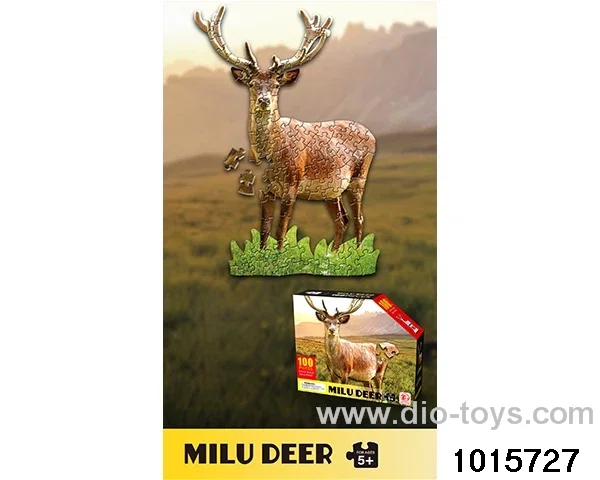 100pcs Puzzles in color box