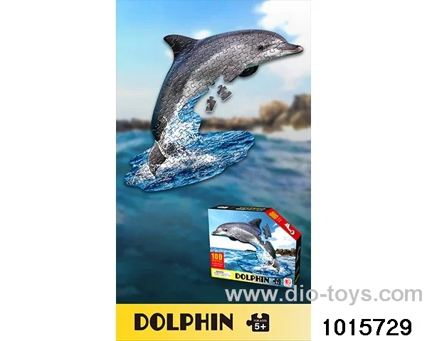 100pcs Puzzles in color box