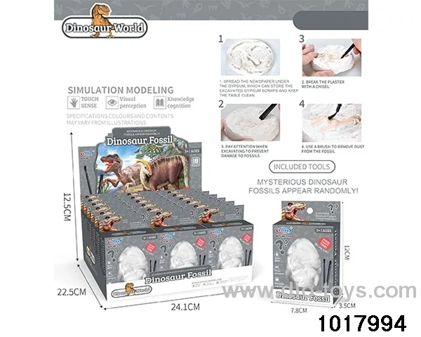 Archaeological dinosaur fossils in color box