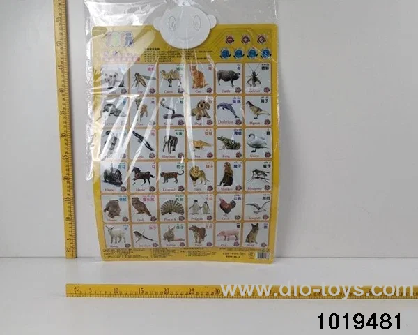 Animal Wall Chart in opp bag