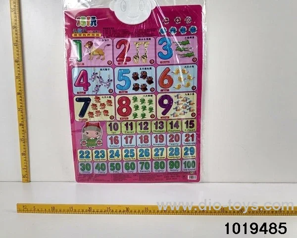 Digital recognition wall chart in opp bag