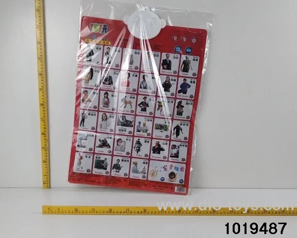 Figure Wall Chart in opp bag