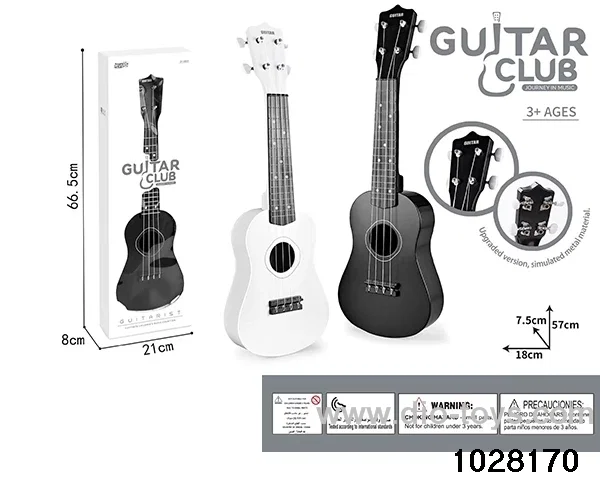 21 inch guitar in window box