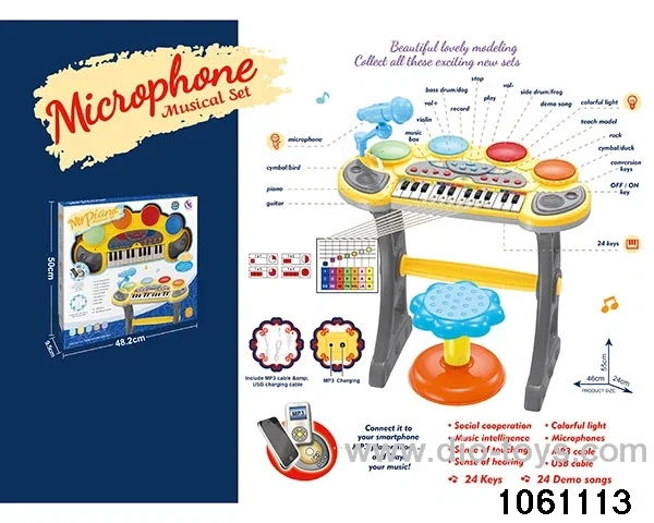 24 Keys Electronic Piano in window box
