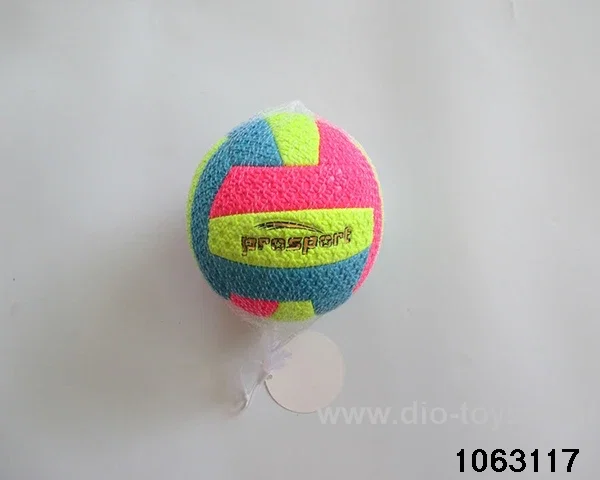 6 inch volleyball in Net bag