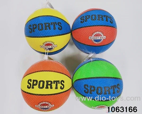 10 inch basketball in Net bag