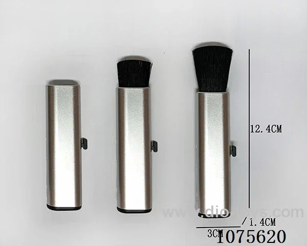 Retractable dust brush