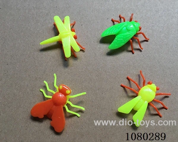 insect