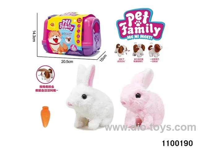 Electric Plush Toys in paper card