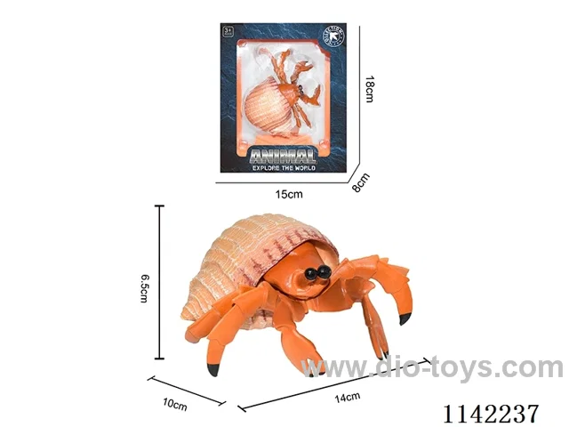 Hermit Crab