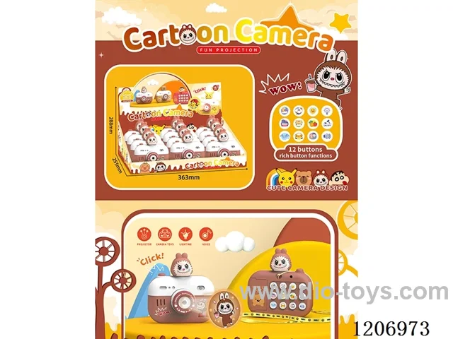 Projection camera Labbe（12PCS）