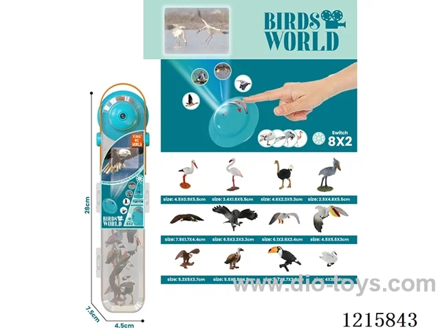 Flying Projection 12PCS