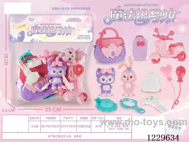 accessories bag