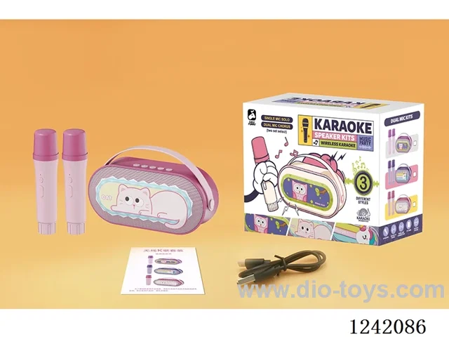 Dual Microphone Karaoke Set