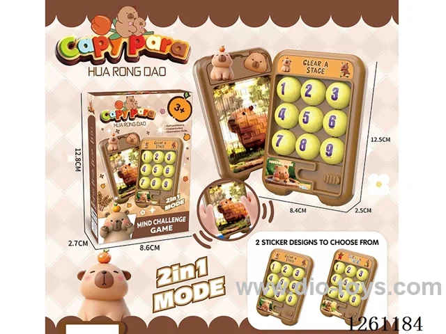Hualong Road Maze 2 in 1