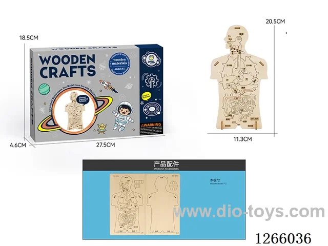 Wooden Educational Experiment - Human Digestion (24PCS)