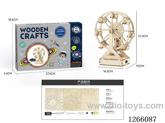 Wooden Educational Experiment - Ferris Wheel