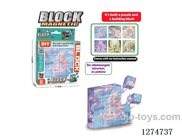 Magnetic Block Puzzles