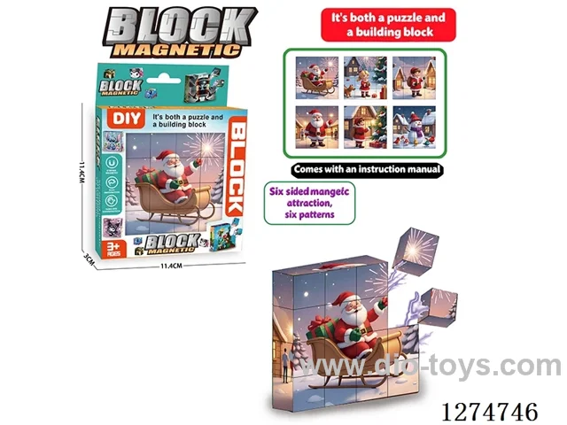 Magnetic Block Puzzles