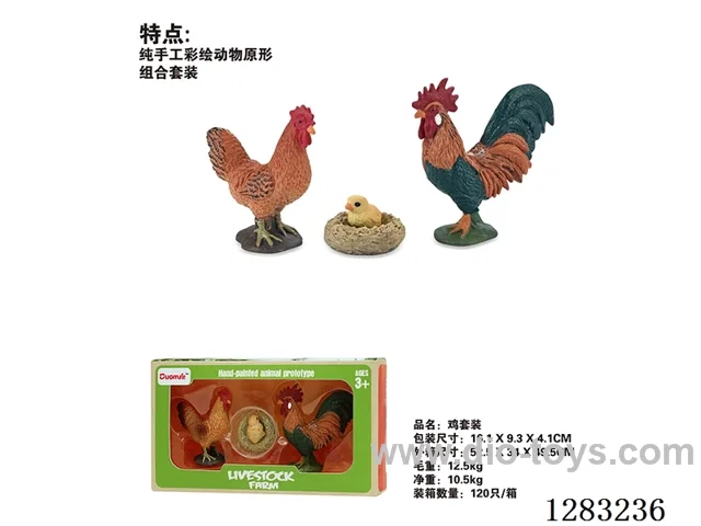 Chicken /Model