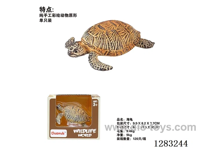 Turtle /Model
