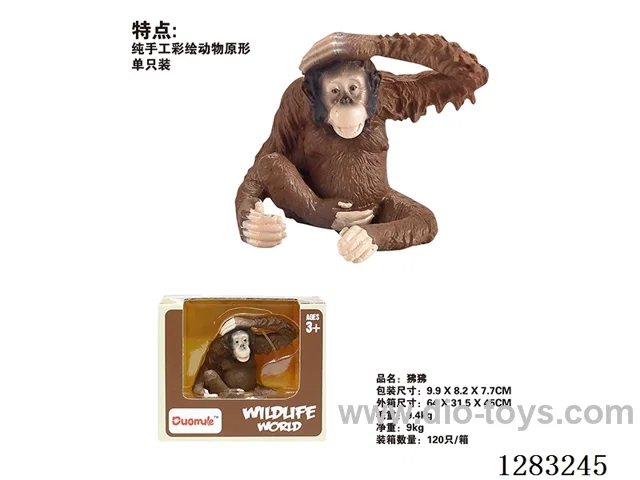 Baboon /Model