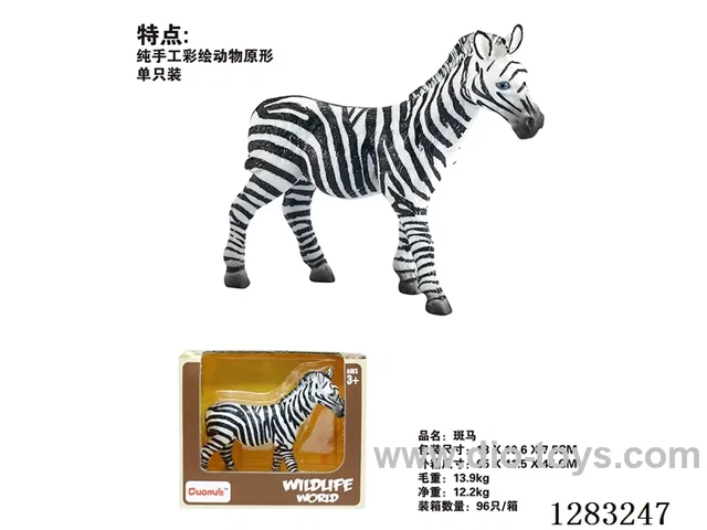Zebra /Model