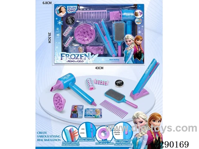 Hair Salon Hair Dryer and Straightener Set (12PCS)