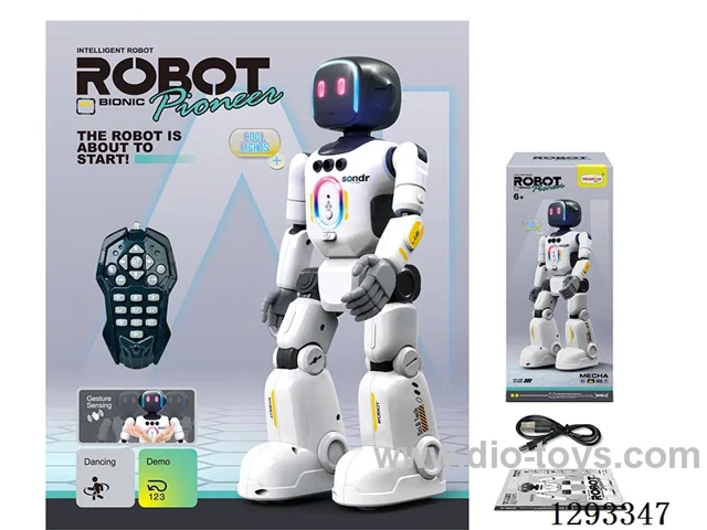 RC Robot