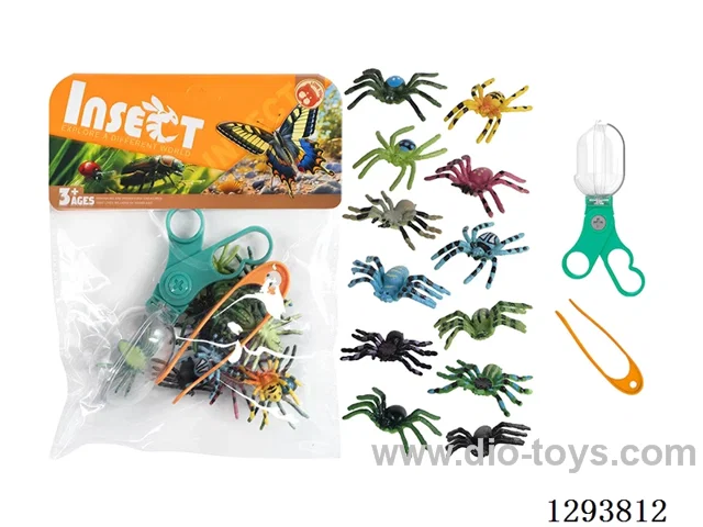 Educational Observation Clips with 12 Spiders