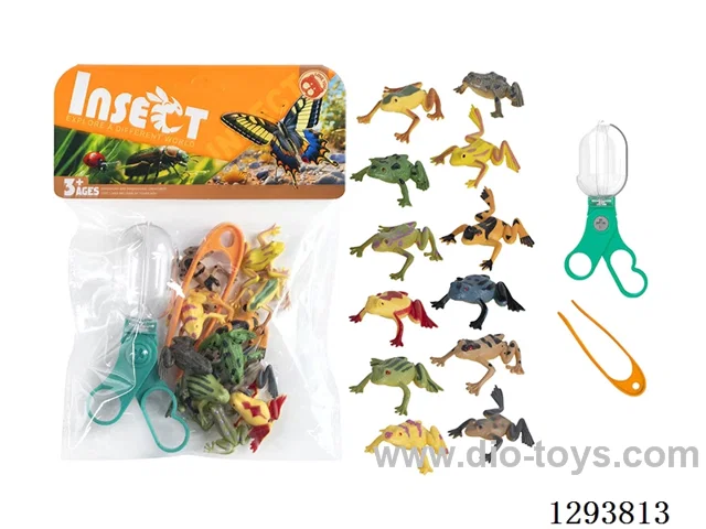 Educational Observation Clips with 12 Frogs