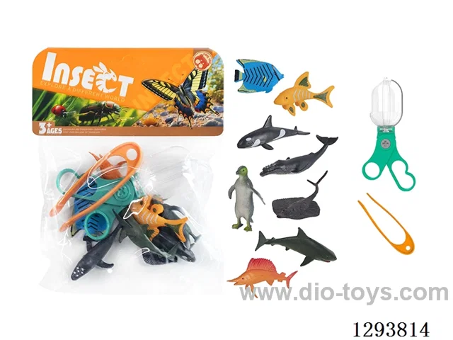 Educational Observation Clips with 8 Marine Creatures