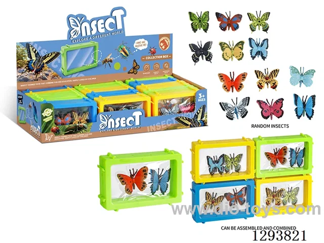 Picture Frame Gift Box Set: Insects  (24 boxes/display box)