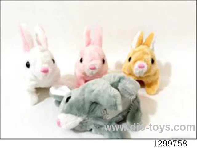 Short-haired Rabbit