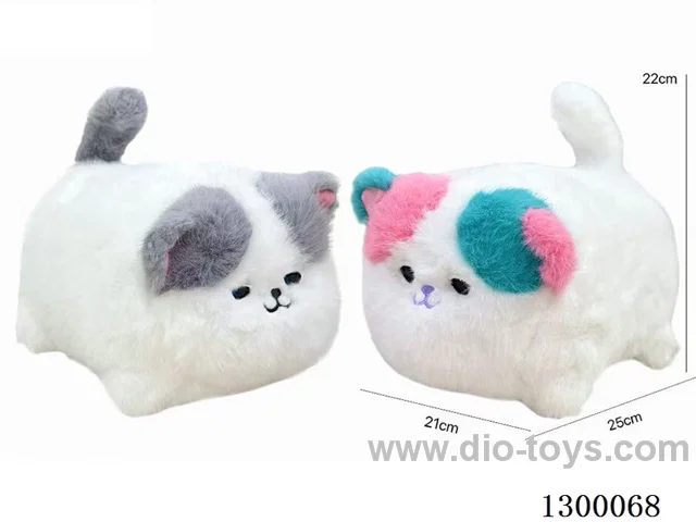 B/O cat