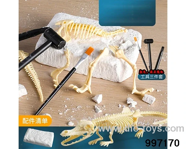 Crocodile dinosaur skeleton fossils+three sets of tools in box